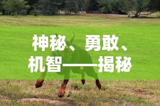 神秘、勇敢、机智——揭秘狗狗特工队成员的独特名字及其背后的故事 神秘、勇敢、机智——揭秘狗狗特工队成员的独特名字及其背后的故事