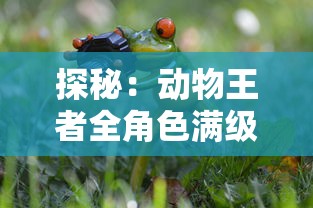 探秘:动物王者全角色满级解锁大揭秘,完美主宰猎场的秘诀竟是这些! 探秘:动物王者全角色满级解锁大揭秘,完美主宰猎场的秘诀竟是这些!