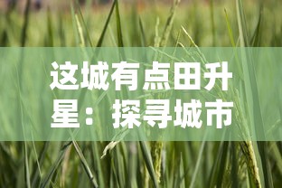 这城有点田升星:探寻城市农业发展新模式,打造可持续绿色生态城市 这城有点田升星:探寻城市农业发展新模式,打造可持续绿色生态城市