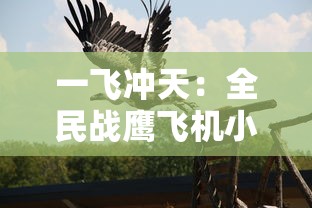 一飞冲天:全民战鹰飞机小游戏引领空战新潮流,体验不一样的激情刺激 一飞冲天:全民战鹰飞机小游戏引领空战新潮流,体验不一样的激情刺激