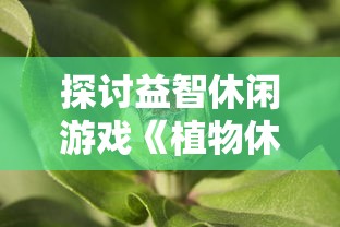 红尘仙和真仙：两界交融的神秘世界，纷乱与宁静的对立共生舞台