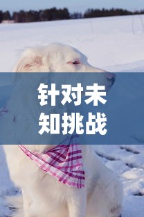 针对未知挑战,揭秘'逃离动物岛白猫'番外篇攻略:如何轻松应对复杂环境与难题 针对未知挑战,揭秘'逃离动物岛白猫'番外篇攻略:如何轻松应对复杂环境与难题