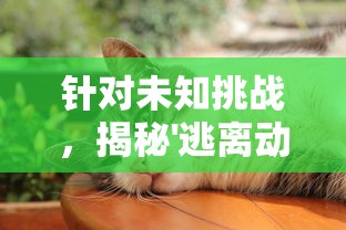 针对未知挑战,揭秘'逃离动物岛白猫'番外篇攻略:如何轻松应对复杂环境与难题 针对未知挑战,揭秘'逃离动物岛白猫'番外篇攻略:如何轻松应对复杂环境与难题