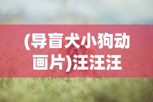 (导盲犬小狗动画片)汪汪汪奇迹再现:细数历年全球导盲犬逆袭故事中的感人时刻 (导盲犬小狗动画片)汪汪汪奇迹再现:细数历年全球导盲犬逆袭故事中的感人时刻