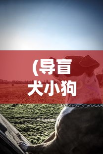 (导盲犬小狗动画片)汪汪汪奇迹再现:细数历年全球导盲犬逆袭故事中的感人时刻 (导盲犬小狗动画片)汪汪汪奇迹再现:细数历年全球导盲犬逆袭故事中的感人时刻