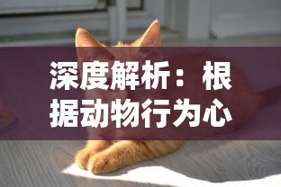 深度解析:根据动物行为心理学如何遇见并成为猫咪喵克斯的朋友的完全攻略 深度解析:根据动物行为心理学如何遇见并成为猫咪喵克斯的朋友的完全攻略