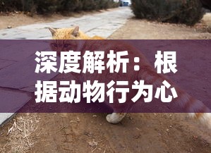 深度解析:根据动物行为心理学如何遇见并成为猫咪喵克斯的朋友的完全攻略 深度解析:根据动物行为心理学如何遇见并成为猫咪喵克斯的朋友的完全攻略