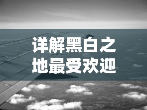 详解黑白之地最受欢迎职业:为玩家量身打造最适合的角色选择和职业推荐指南 详解黑白之地最受欢迎职业:为玩家量身打造最适合的角色选择和职业推荐指南