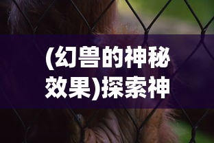(幻兽的神秘效果)探索神秘幻兽世界:揭秘幻兽工坊Cerisey及其独特的魔法制作艺术 (幻兽的神秘效果)探索神秘幻兽世界:揭秘幻兽工坊Cerisey及其独特的魔法制作艺术