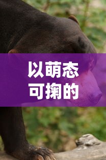 以萌态可掬的小猫猫猫偷外卖引发社区关注,揭示人与动物和谐共处的重要性 以萌态可掬的小猫猫猫偷外卖引发社区关注,揭示人与动物和谐共处的重要性