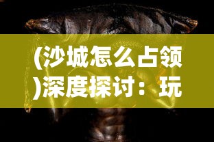 (沙城怎么占领)深度探讨:玩家如何在沙城保卫战中发现并抢夺异火的关键所在 (沙城怎么占领)深度探讨:玩家如何在沙城保卫战中发现并抢夺异火的关键所在
