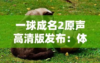 一球成名2原声高清版发布:体验更真实的足球对决,感受最纯粹的竞技热血 一球成名2原声高清版发布:体验更真实的足球对决,感受最纯粹的竞技热血