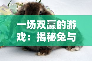 一场双赢的游戏:揭秘兔与药的奇特结合,以及如何成为出色的游戏配方设计大师 一场双赢的游戏:揭秘兔与药的奇特结合,以及如何成为出色的游戏配方设计大师