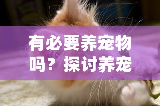 有必要养宠物吗?探讨养宠物对于提高生活品质和培养责任感的重要性 有必要养宠物吗?探讨养宠物对于提高生活品质和培养责任感的重要性