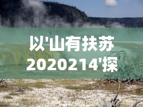 以'山有扶苏2020214'探讨的环保意识与自然保育行动:从生态系统视角来看我们的责任和挑战 以'山有扶苏2020214'探讨的环保意识与自然保育行动:从生态系统视角来看我们的责任和挑战