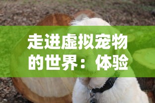 走进虚拟宠物的世界:体验萌喵宠物店游戏的细腻设计与终极玩家体验 走进虚拟宠物的世界:体验萌喵宠物店游戏的细腻设计与终极玩家体验