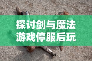 探讨剑与魔法游戏停服后玩家适应性留存策略:还能不能挽救你的游戏世界? 探讨剑与魔法游戏停服后玩家适应性留存策略:还能不能挽救你的游戏世界?