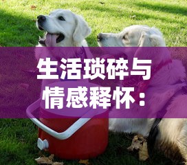 生活琐碎与情感释怀:小狗咖啡馆安静书写独特的人文情怀与现代潮流融合 生活琐碎与情感释怀:小狗咖啡馆安静书写独特的人文情怀与现代潮流融合