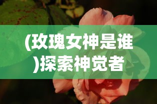探讨真三国无双霸赵云在哪个州出现的频率最高:确保您的成功策略 探讨真三国无双霸赵云在哪个州出现的频率最高:确保您的成功策略