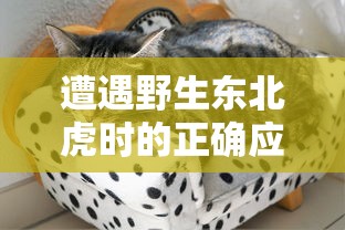 遭遇野生东北虎时的正确应对策略:保护生命和规避危险的实用指南 遭遇野生东北虎时的正确应对策略:保护生命和规避危险的实用指南
