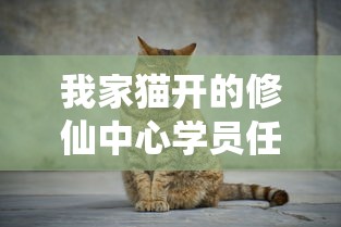 我家猫开的修仙中心学员任务:详解各级学员修炼历程中的挑战与收获 我家猫开的修仙中心学员任务:详解各级学员修炼历程中的挑战与收获