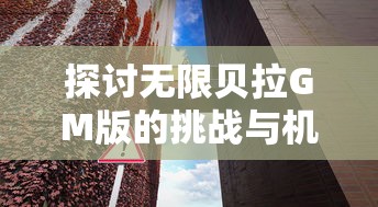 探讨无限贝拉GM版的挑战与机遇:基于游戏规则的深度解析体验游戏的全新境界 探讨无限贝拉GM版的挑战与机遇:基于游戏规则的深度解析体验游戏的全新境界