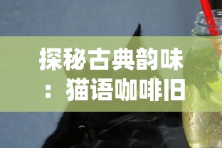 探秘古典韵味:猫语咖啡旧版免费试喝活动,让你回味传统的优质咖啡文化 探秘古典韵味:猫语咖啡旧版免费试喝活动,让你回味传统的优质咖啡文化