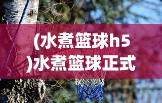 (水煮篮球h5)水煮篮球正式服:体验运动乐趣,打造专属篮球装备风格 (水煮篮球h5)水煮篮球正式服:体验运动乐趣,打造专属篮球装备风格