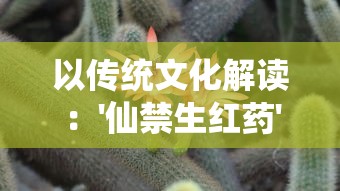 以传统文化解读:'仙禁生红药'中隐藏的生肖玄机——以古代诗词为线索探寻中国古老传统生肖文化的奥秘 以传统文化解读:'仙禁生红药'中隐藏的生肖玄机——以古代诗词为线索探寻中国古老传统生肖文化的奥秘