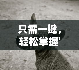 只需一键,轻松掌握'调皮小动物秘籍搭配大全':提升宠物互动乐趣与健康管理的终极指引 只需一键,轻松掌握'调皮小动物秘籍搭配大全':提升宠物互动乐趣与健康管理的终极指引