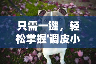 只需一键,轻松掌握'调皮小动物秘籍搭配大全':提升宠物互动乐趣与健康管理的终极指引 只需一键,轻松掌握'调皮小动物秘籍搭配大全':提升宠物互动乐趣与健康管理的终极指引