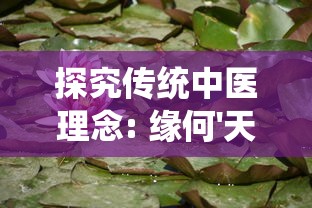 探究传统中医理念: 缘何'天门冬'能健身养生,被誉为'服食成仙'的神奇灵草 探究传统中医理念: 缘何'天门冬'能健身养生,被誉为'服食成仙'的神奇灵草