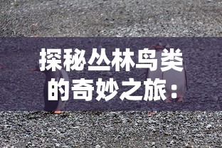 玩家指南：见证战途王者辉煌，分享免广告代码解决方案，带您畅游无障碍的游戏世界