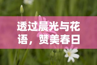 (不一样的修仙宗门 破解)不一样的修仙宗门：解锁2刷机之家秘密
