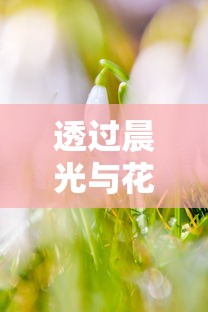 (完美修真qq小游戏)探秘完美修真:QQ小程序的魅力所在与智能化修行的独特体验 (完美修真qq小游戏)探秘完美修真:QQ小程序的魅力所在与智能化修行的独特体验