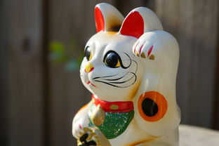探索猫旅馆物语无限金币无限钻石秘密:如何摆脱贫穷,享受无限资源的乐趣之旅 探索猫旅馆物语无限金币无限钻石秘密:如何摆脱贫穷,享受无限资源的乐趣之旅