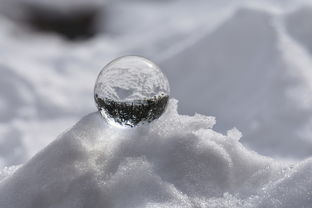 探索少年之心，描绘生活诗意——以'少年歌行风花雪月篇'解析中国古代文人志士的人生观与价值取向