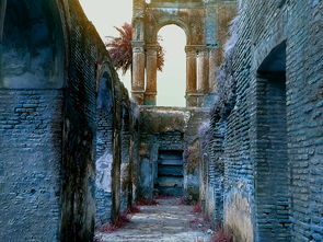 平民玩家如何选择龙之剑圣的最佳阵容？绝对实用的阵容搭配技巧！