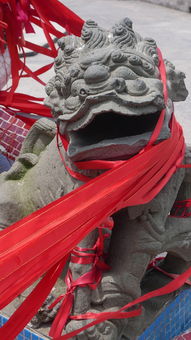 探索未知世界,守护和平稳定:《龙战士星源第三季》展现新型壮志英勇角色与新颖奇幻世界观 探索未知世界,守护和平稳定:《龙战士星源第三季》展现新型壮志英勇角色与新颖奇幻世界观