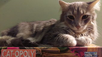 新手必读！物质与魔法全面攻略指南，助你快速踏入奇幻世界的奥秘之门