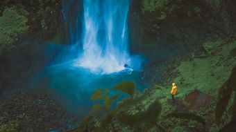 探索无双屠龙在多少个平台上展开,不同平台带来的不同游戏体验 探索无双屠龙在多少个平台上展开,不同平台带来的不同游戏体验