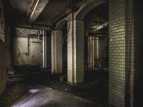 无尽噩梦禁区无需实名认证版：畅享无拘束的极限冒险与超现实体验