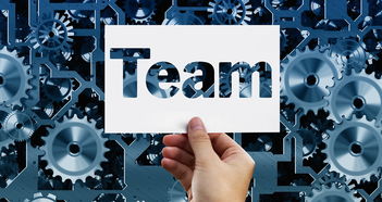 (萌神vg)探寻萌神mianfei的魅力：从可爱角度看待网络文化现象