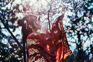 体验阴阳嗔的奥秘：探讨阴阳师事务所游戏中的具备独特魅力角色与战斗策略