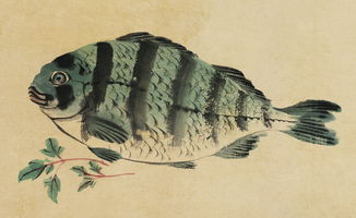 (我的江湖古鱼(gejianyunice)_...)我的江湖古鱼琦书屋:传承千年的古老智慧和神秘力量 (我的江湖古鱼(gejianyunice)_...)我的江湖古鱼琦书屋:传承千年的古老智慧和神秘力量