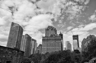 西蒙的猫跑酷官方版:独特玩法,挑战无极限,快来体验刺激切换新高潮! 西蒙的猫跑酷官方版:独特玩法,挑战无极限,快来体验刺激切换新高潮!
