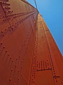 (丫丫头仙游记攻略)丫丫头仙游记：神奇仙境探险之旅，奇遇连连惊喜不断