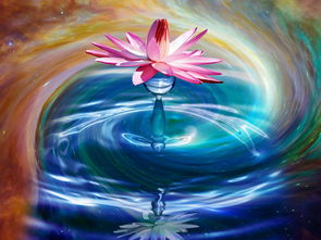 修仙氪金王：揭秘漫画下拉式阅读体验，探讨金元氪金对修仙成长的影响