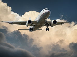 (三大航空联盟分别有哪些成员?)三大航空联盟成员对比:全球航空业巨头的巅峰对决 (三大航空联盟分别有哪些成员?)三大航空联盟成员对比:全球航空业巨头的巅峰对决