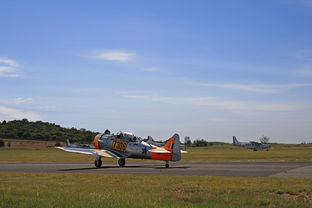 (东海航空 基地)东海航空基地的分布和布局情况统计分析 (东海航空 基地)东海航空基地的分布和布局情况统计分析